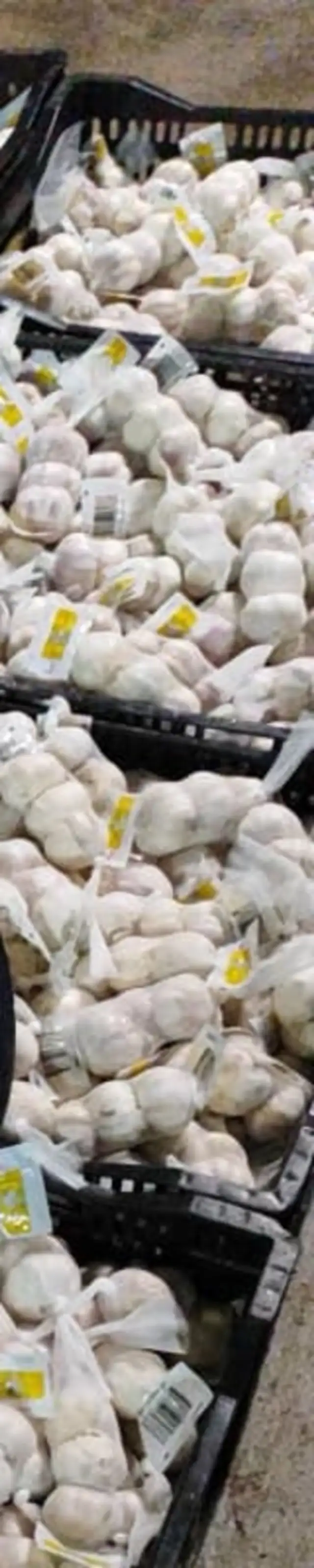 Cabezas de ajo en malla, apiladas en cajas