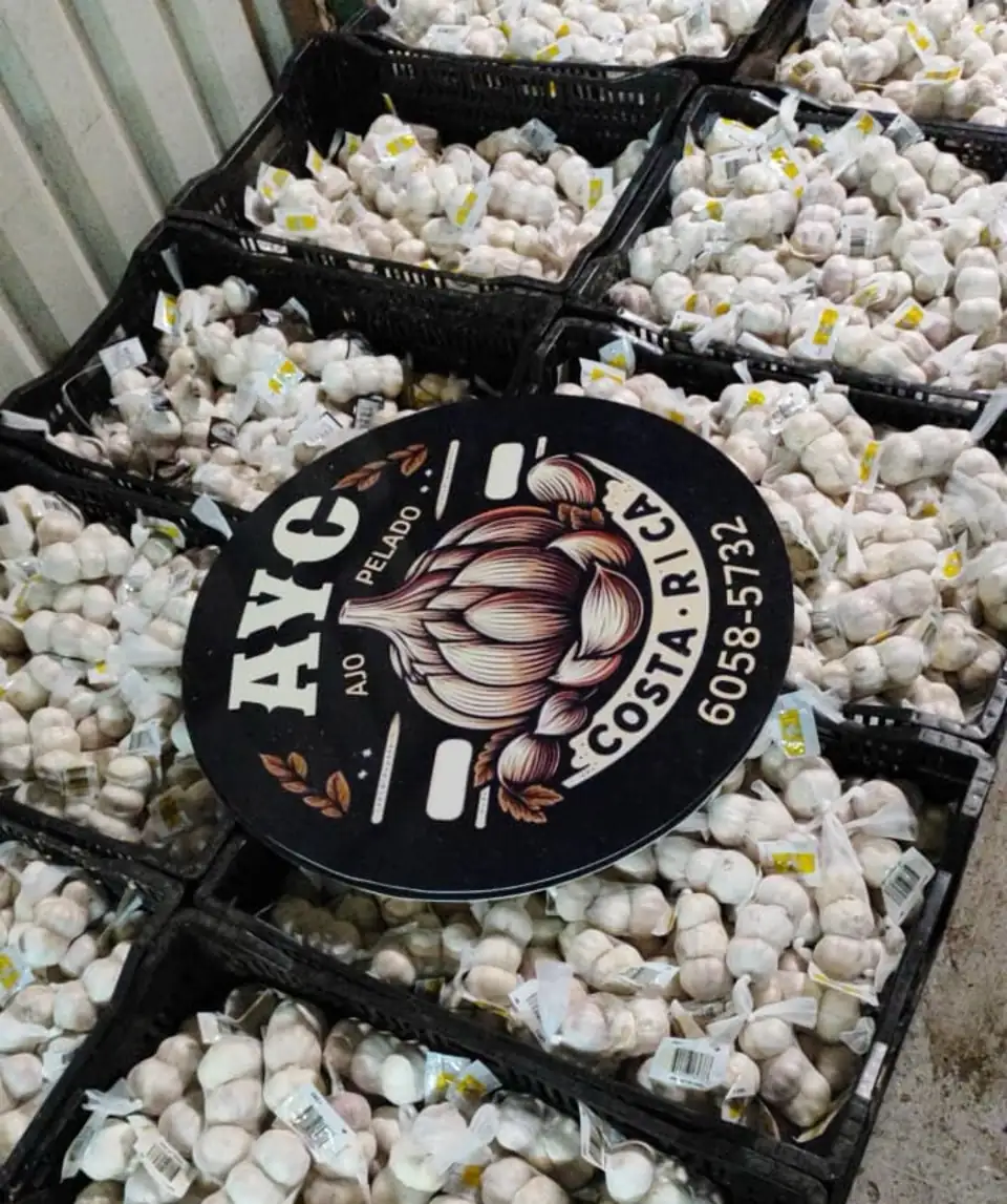 Cajas llenas de cabezas de ajo en malla, con el sello AYC encima