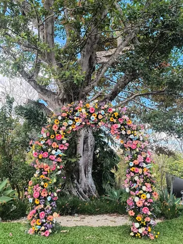 Arco floral multicolor bajo un árbol