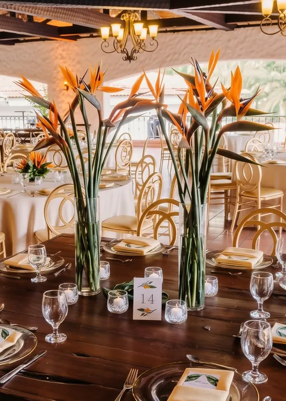 Centros altos de aves del paraíso en una mesa de recepción