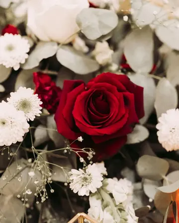 Rosas rojas y blancas para una celebración familiar