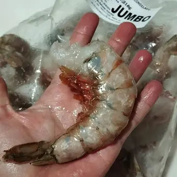 Camarón de la distribuidora, foto de su mostrador