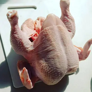 Pollo entero de la distribuidora, foto de su mostrador